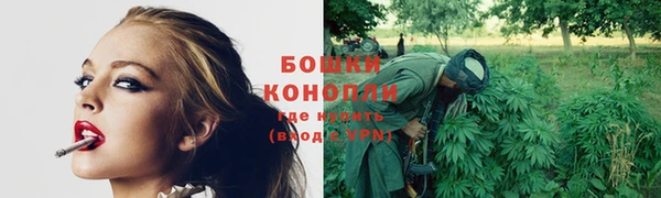 крисы Переславль-Залесский