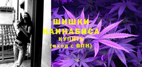 крисы Переславль-Залесский