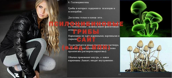первитин Абинск