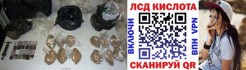 где купить наркоту  Почеп  Лсд 25 экстази ecstasy 